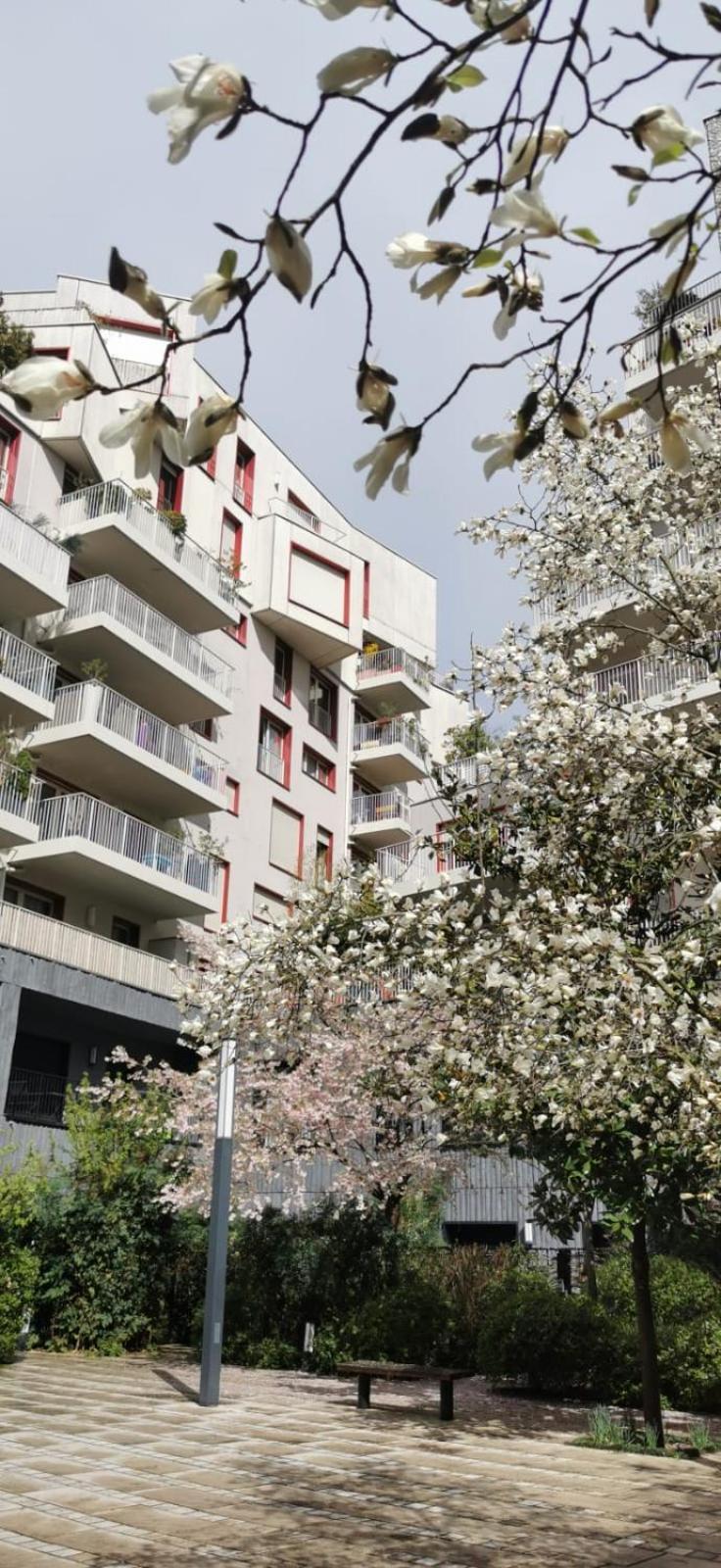 شقة Eiffel Seightseing باريس المظهر الخارجي الصورة